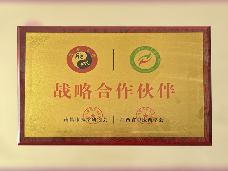 战略合住伙伴