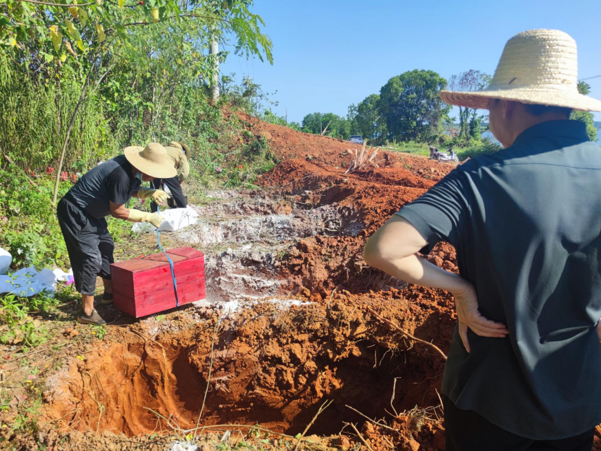 1756177951592031.png image.png